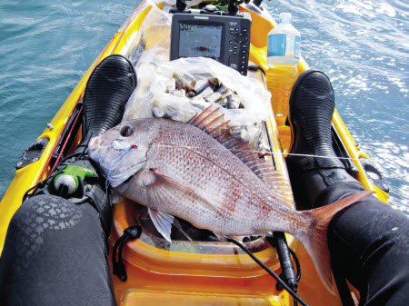 Burleying tips from a kayak